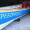 Speedwell