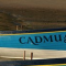 Cadmus Cadmus