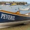 Peveril