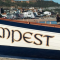 Tempest