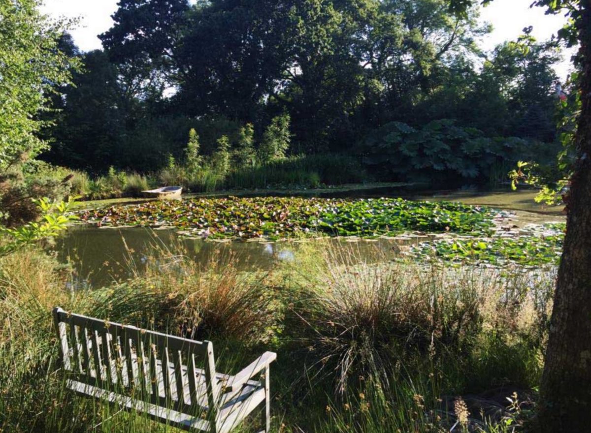 pond at holiday cottage near launceston