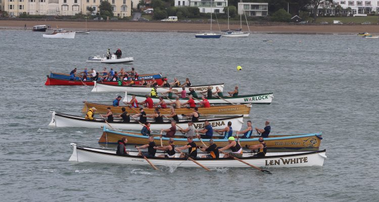 Appledore Regatta